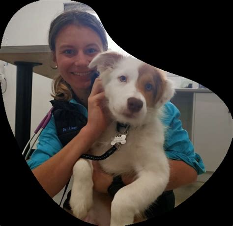 mansfield emergency vet.